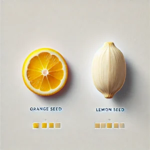 Orange Seed vs Lemon Seed